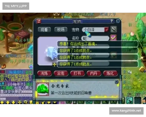 梦幻西游85级剧情中必做的关键任务全解析及攻略指南 梦幻西游85级剧情中必做的关键任务全解析及攻略指南