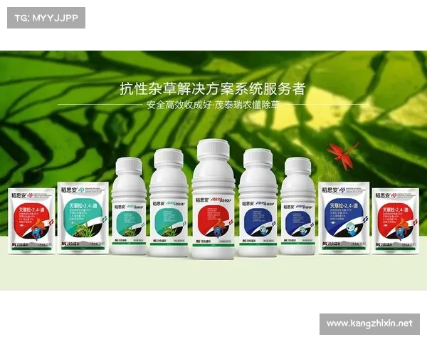 安联作为赞助商的多重作用及其对品牌价值的提升分析